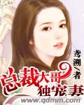 总裁大哥独宠妻