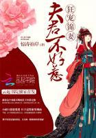 夫君不好惹:狂宠锦妻