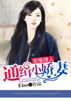 宠婚撩人:通缉小娇妻