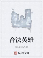 合法英雄