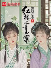 红楼:金釵请自重,我是搜查官