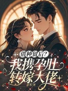 借种留后？我携孕肚转嫁大佬