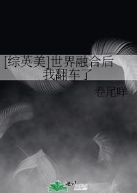 [综英美]世界融合后我翻车了